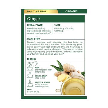 Traditional Medicinals Tea Ginger Organic