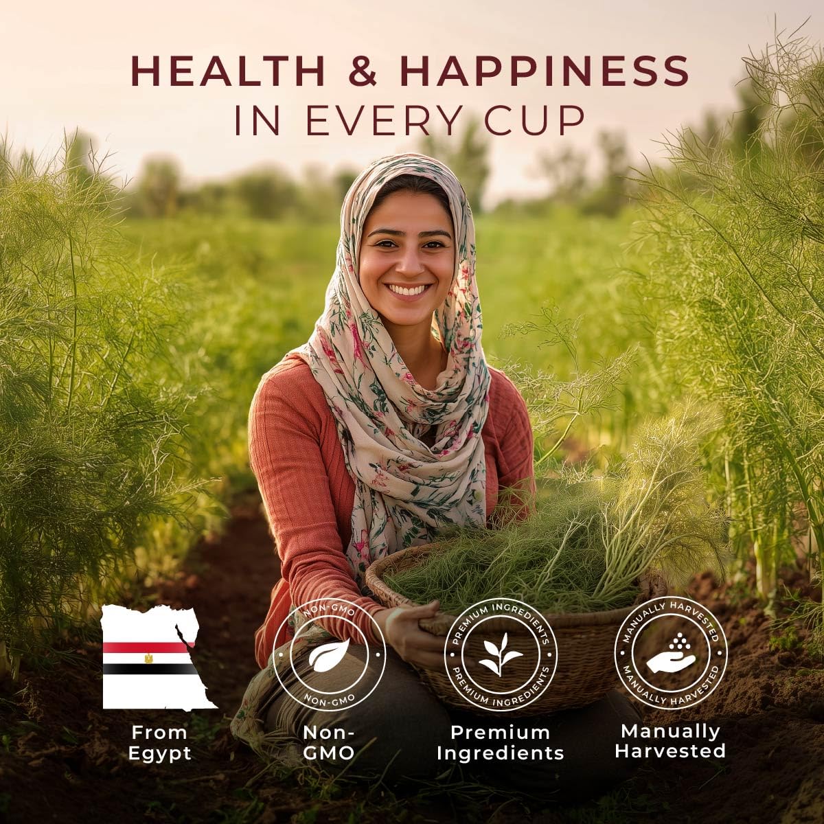 Gya Tea Co Fennel Herbal Tea Pod (16 Ct) - Decaf Wellness Tea For Good Night'S Rest Of Bloating & Digestion