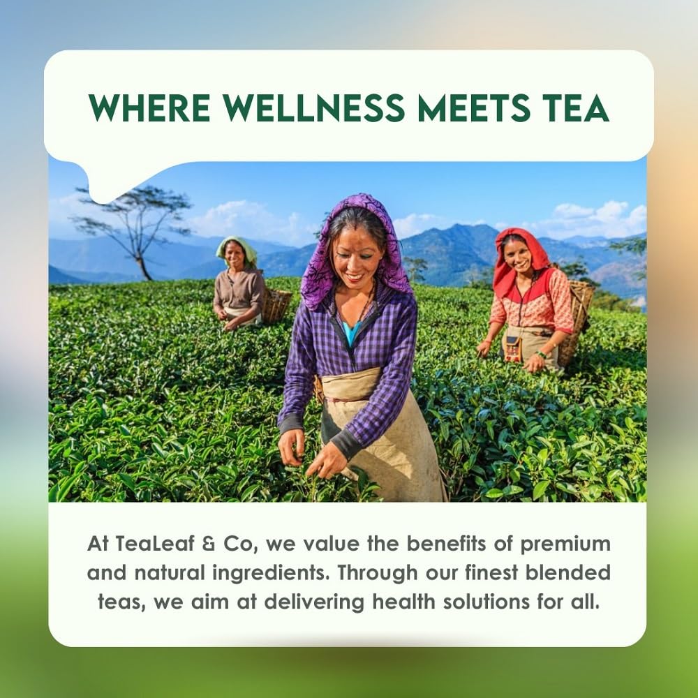 Tea Leaf & Co. Detox Kahwa Green Tea Bags (50 Count), Green Tea With Ginger, Tulsi & Rock Salt, Caffeinated, Natural Green Tea,