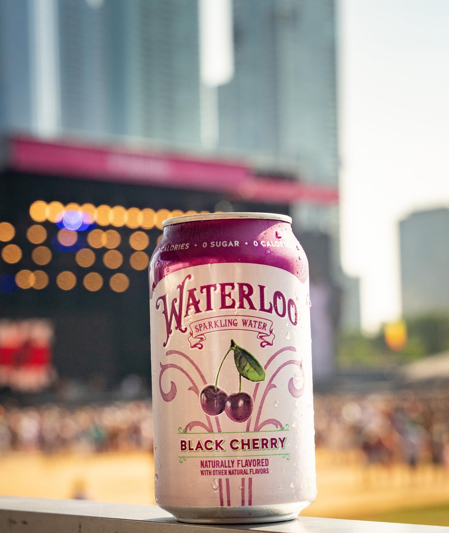 Waterloo Sparkling Water, Black Cherry Naturally Flavored, 12 Fl Oz Cans (Pack Of 12) - Zero Calories And Zero Sugar Or Sweetene