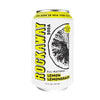 ROCKAWAY Lemon Lemongrass Soda Drinks - Low calorie drinks made from Real Fruit Juice All Natural - Soda Pop Drinks Gluten Free Vegan GMO Free - 12oz (12 Pack)