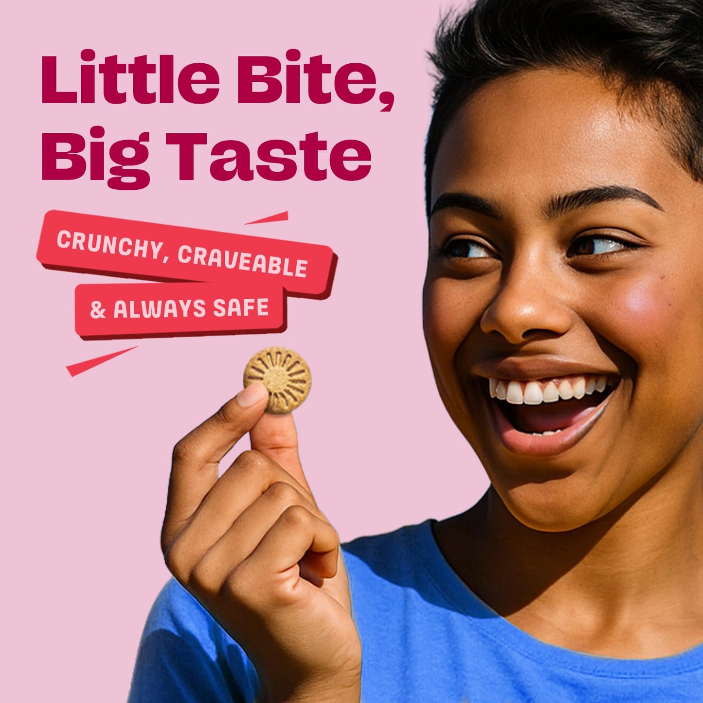 Partake Foods Gluten Free Classic Graham Cracker Minis - Vegan - Free From the Top 9 Allergens Including Dairy, Wheat, Soy, Eggs