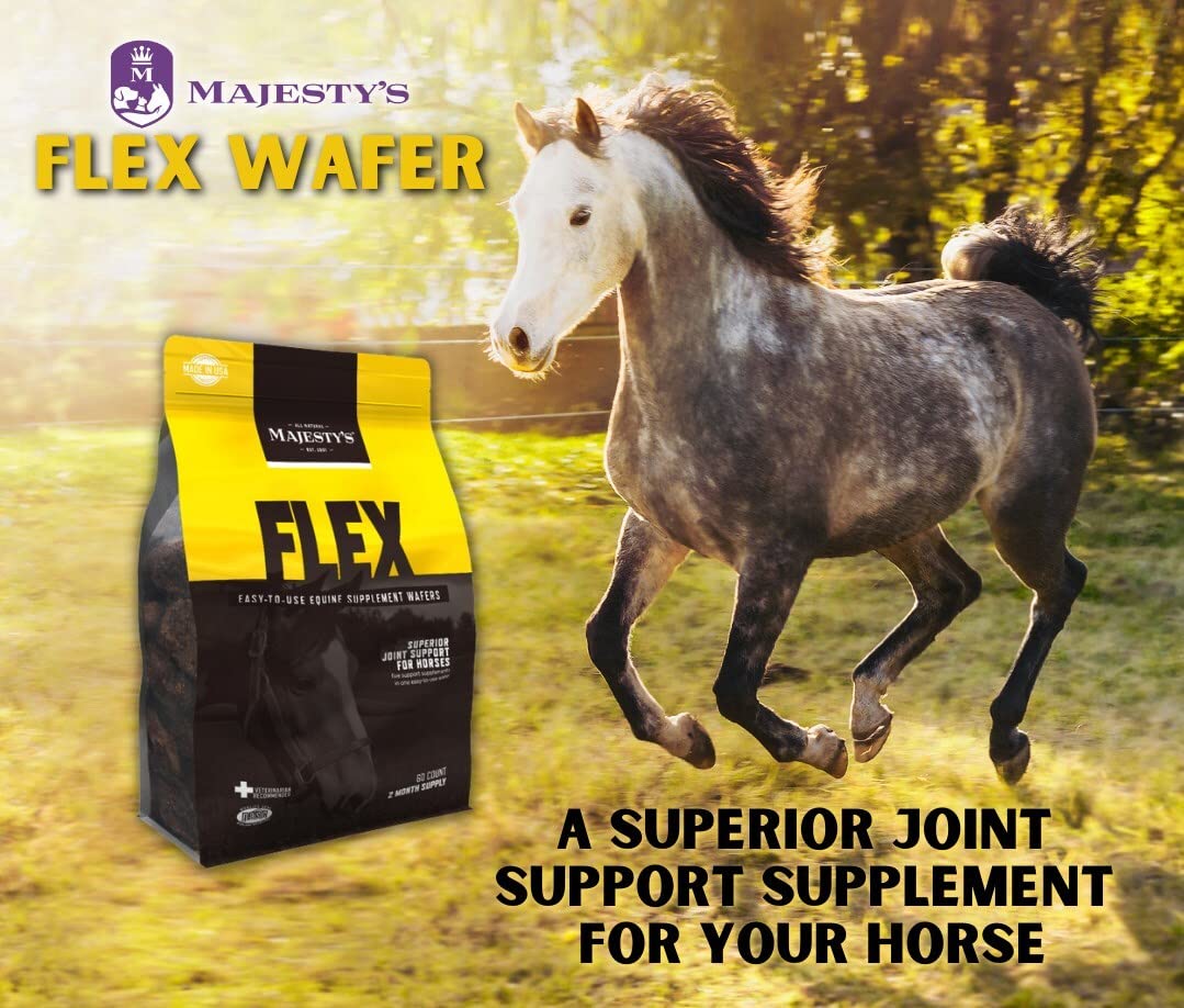 Majestys Flex Wafers - Joint Support dietary product for Horses - Glucosamine, MSM, Chondroitin - 60 Count - Peppermint Flavor