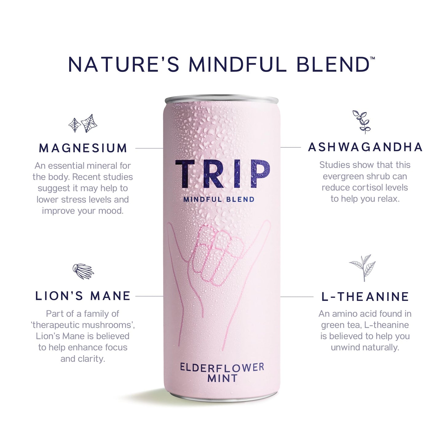 TRIP Mindful Blend Adaptogen Seltzer, Elderflower Mint, 12 Fl Oz (Pack of 12), Vegan, No Added Sugar