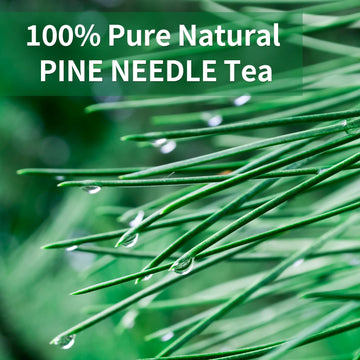 Tempoak Wild Pine Needle Tea Bags - 100% Pure Herbal Tea, Caffeine Free, Non-GMO, 60 Bags, 6.4 Oz