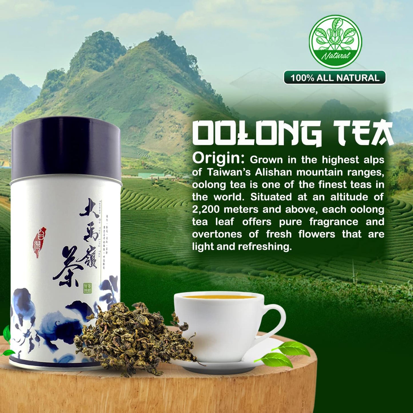 Zone - 365 Oolong Loose Leaf Tea From Taiwan Alishan District - High Mountain Enhanced Quality In Aesthetic Tin, 70 Cups Fresh Smooth Unsweetened Loose Tea - 150 Gram (Pack Of 2)