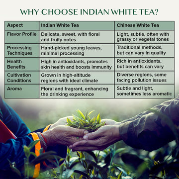 Vahdam, Silver Needle White Tea Loose Leaf (25 Cups/1.76Oz) Gluten Free | Pure Unblended Loose Leaf Tea | Vacuum Sealed | Brew A