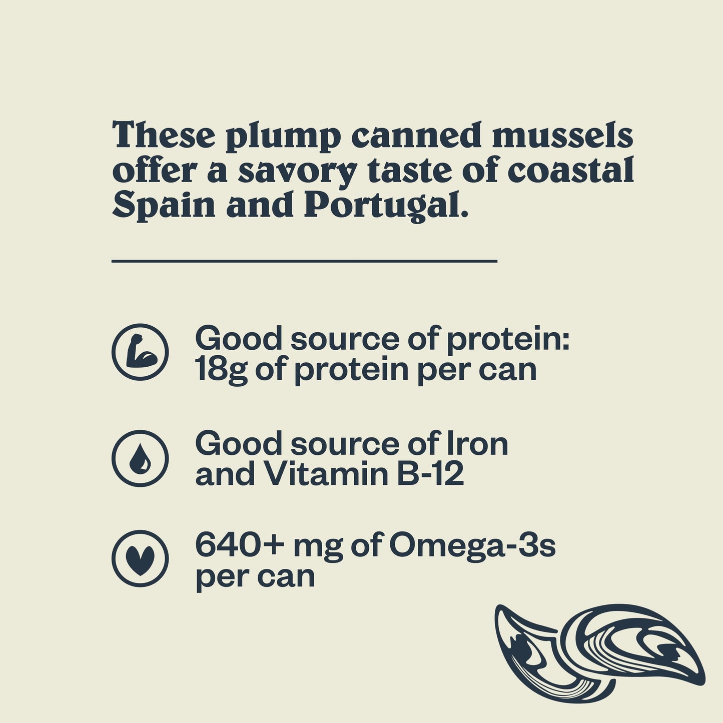 Patagonia Provisions Spicy Mussels in Extra Virgin Olive Oil | 18g Protein | Gluten Free | 4.2 Ounce (Pack of 10)