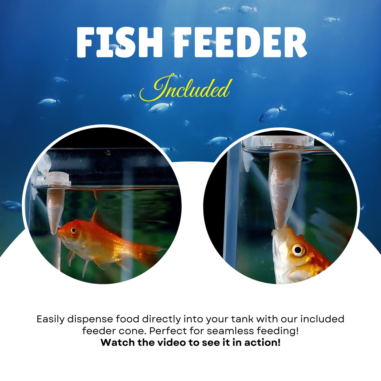 MorexLab Decapsulated Brine Shrimp Eggs - High Protein Fish Food - 4.93 OZ (140g) - 100% Natural Artemia Nauplii