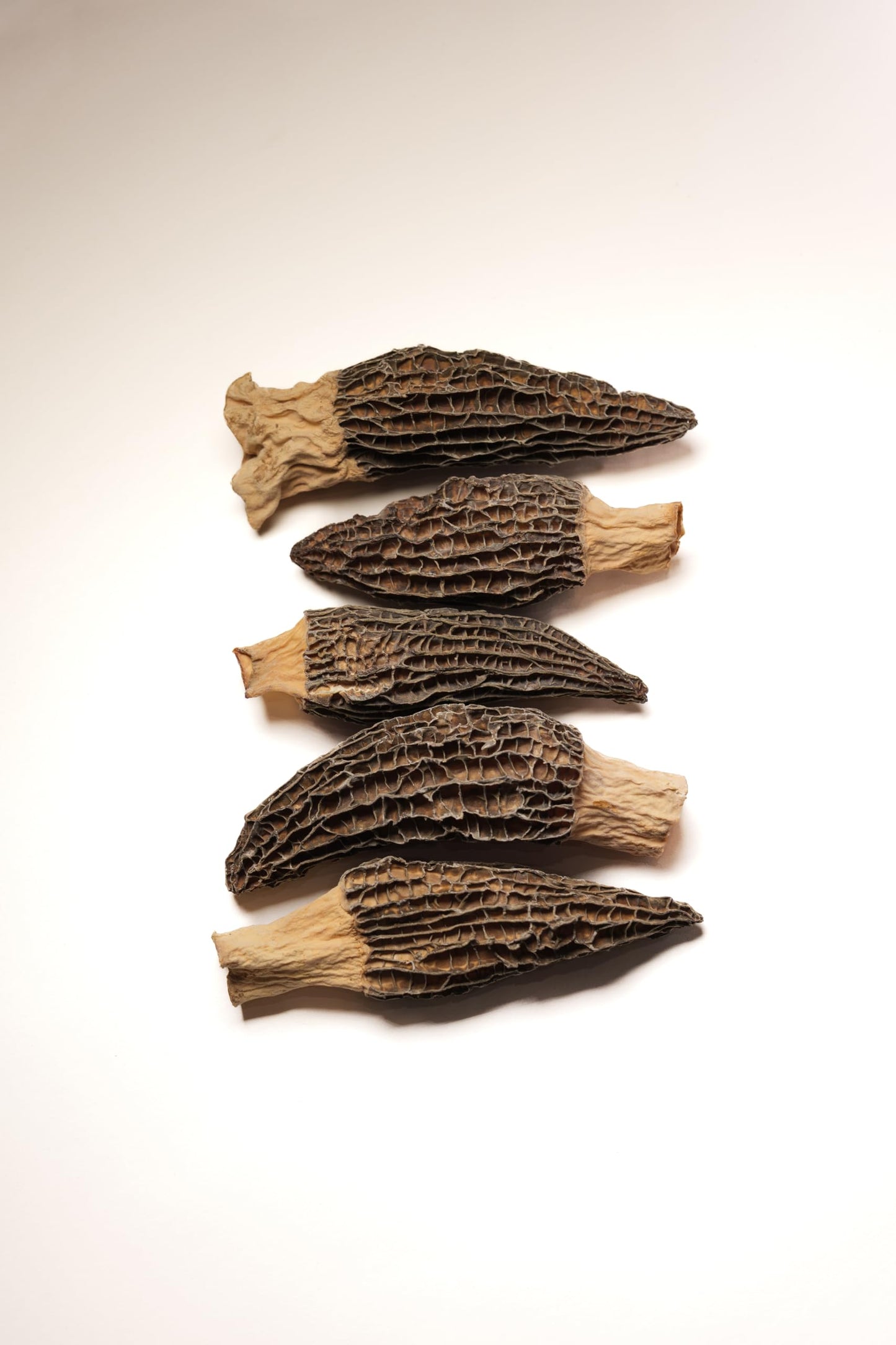 Season Harvests Dried Morel Mushrooms – Premium Gourmet Morels – 2oz – Vegan & Nutrient-Dense for Sauces and Stews