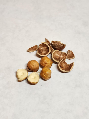 Hazelnuts In-Shell, From Our Family Orchard In Washington State (Roasted, 4 Pounds)