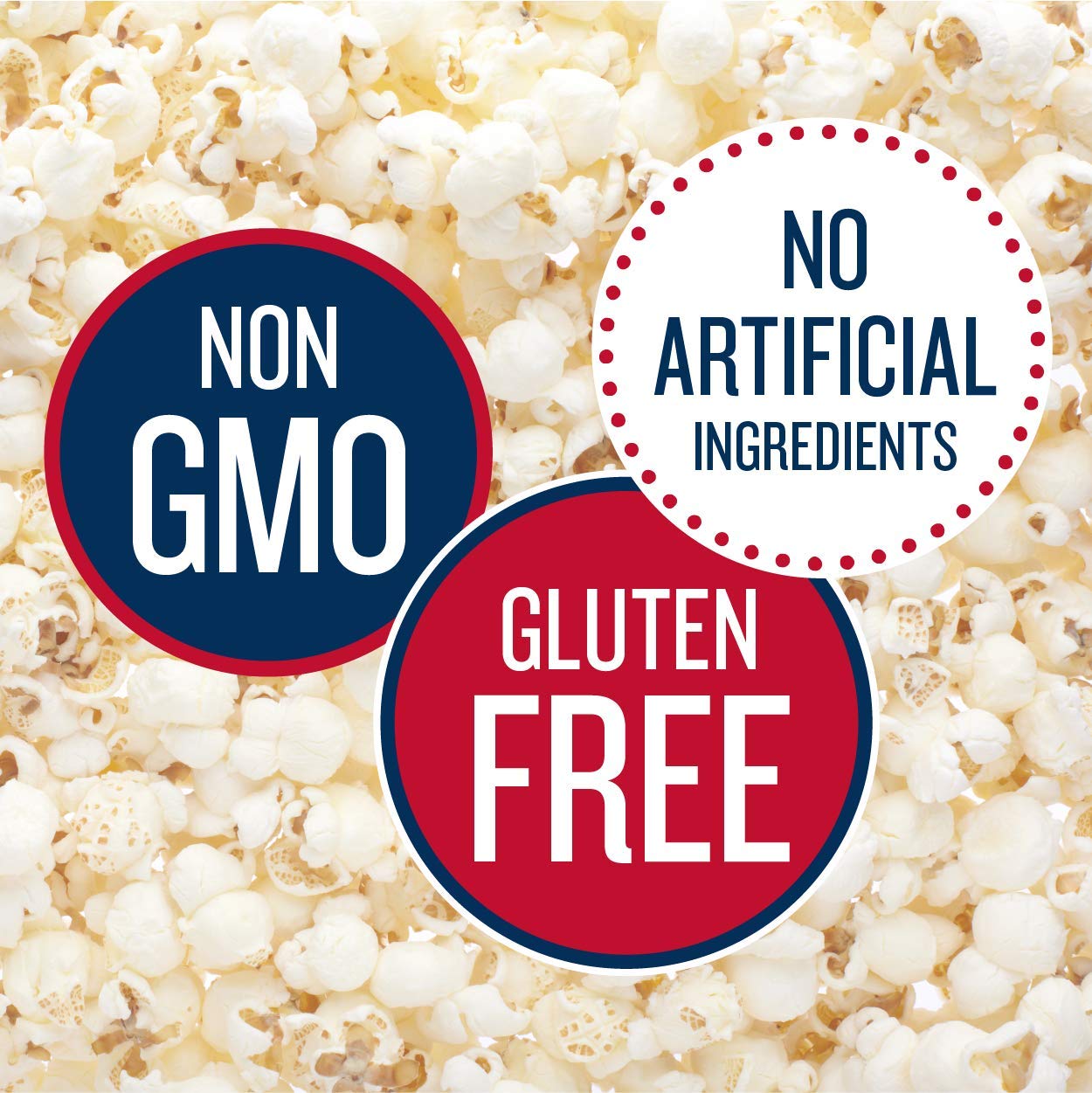 Skinnypop Aged White Cheddar Popcorn, Gluten Free, Non-Gmo, Healthy Popcorn Snacks, Skinny Pop, 4.4 Oz Grocery Sized Bags (12 Co
