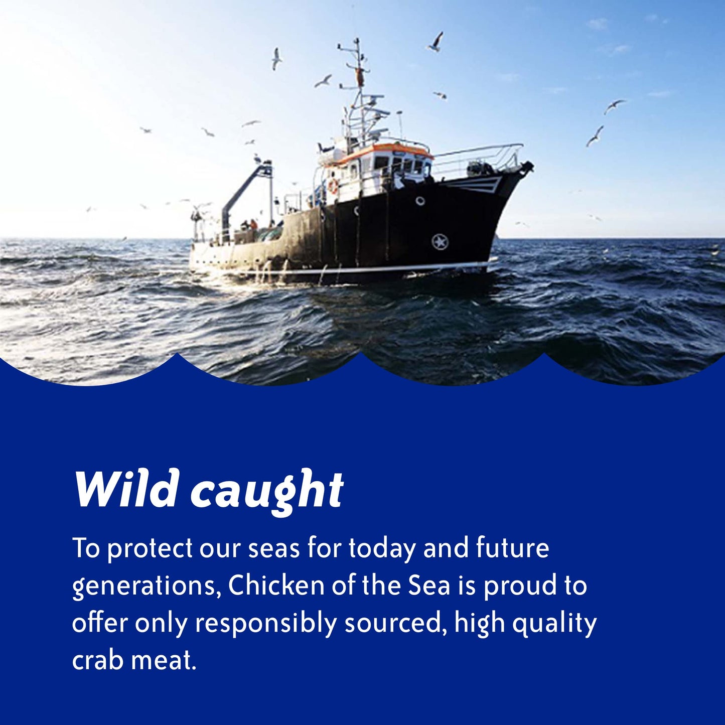 Chicken of the Sea White Crab Meat, 6 oz. Cans (Pack of 12), High in Calcium, Wild Caught Canned Crabmeat