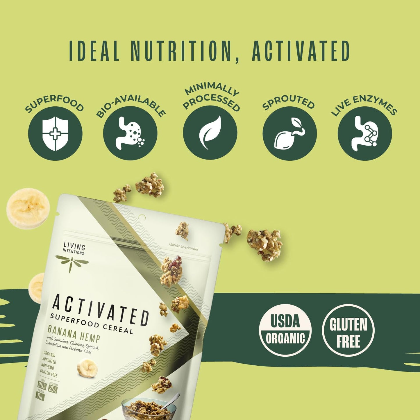 Living Intentions Organic Superfood Cereal - Banana Hemp - NonGMO - Gluten Free - Vegan - Paleo - Kosher - 9 Ounce Unit