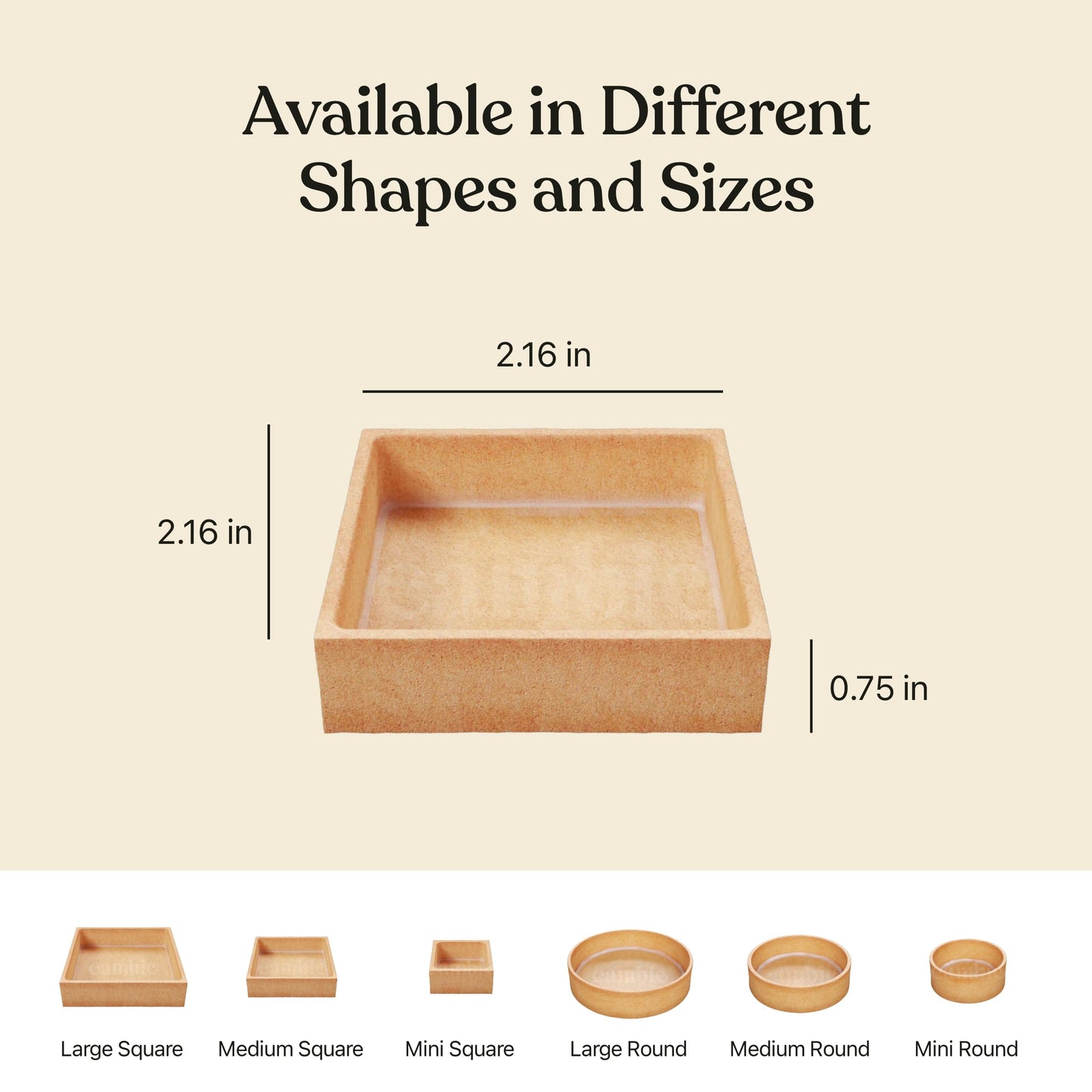 Cambie Medium Square Vanilla Tart Shells, 55Mm (2.16'') Diameter, French Style Tart Shells, White Chocolate Coating, Pack Of 40