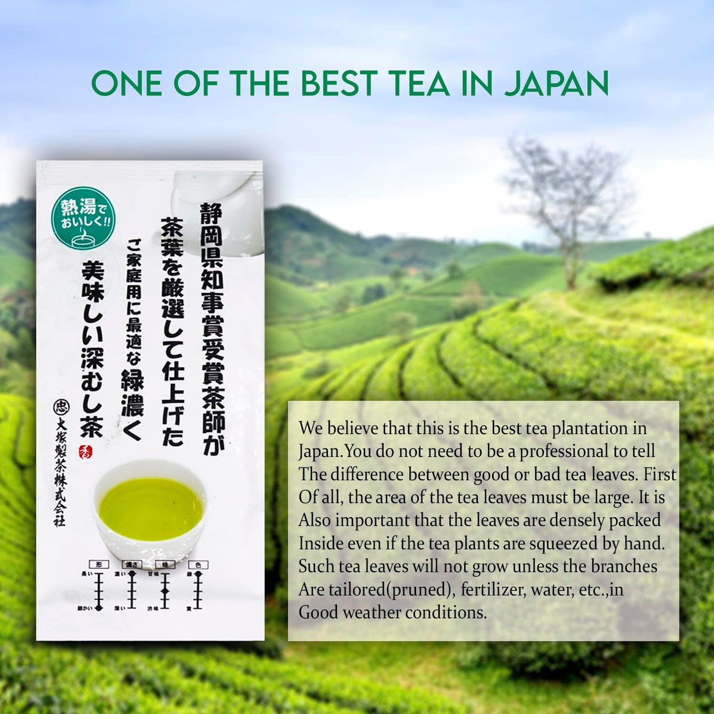 Otsuka Green Tea Co Kakegawa Deep Steam Sencha 100g - Award Winning Green Tea from Japan
