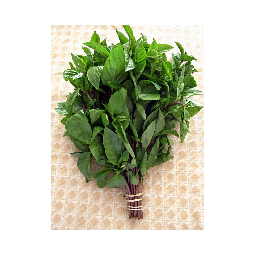 Thai Sweet Basil Fresh 1/2 Lb ( 8 Oz.)