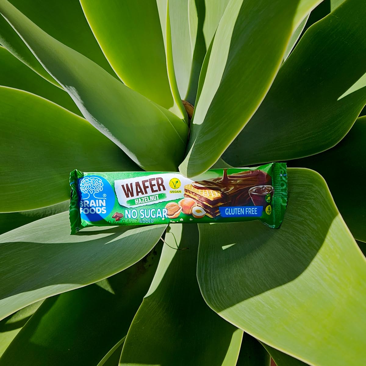 Brain Foods Gluten Free Vegan Chocolate Coated Hazelnut Wafers, 12 Bars, High Fiber, No Sugar Added, 1.4 oz, Guilt Free Snack