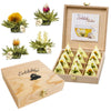 Creano Blooming Tea - Teelini - Tea Flowers in Cup Size - Gift Set in Wooden Tea Box - 12 pcs in 4 Varieties - White Tea