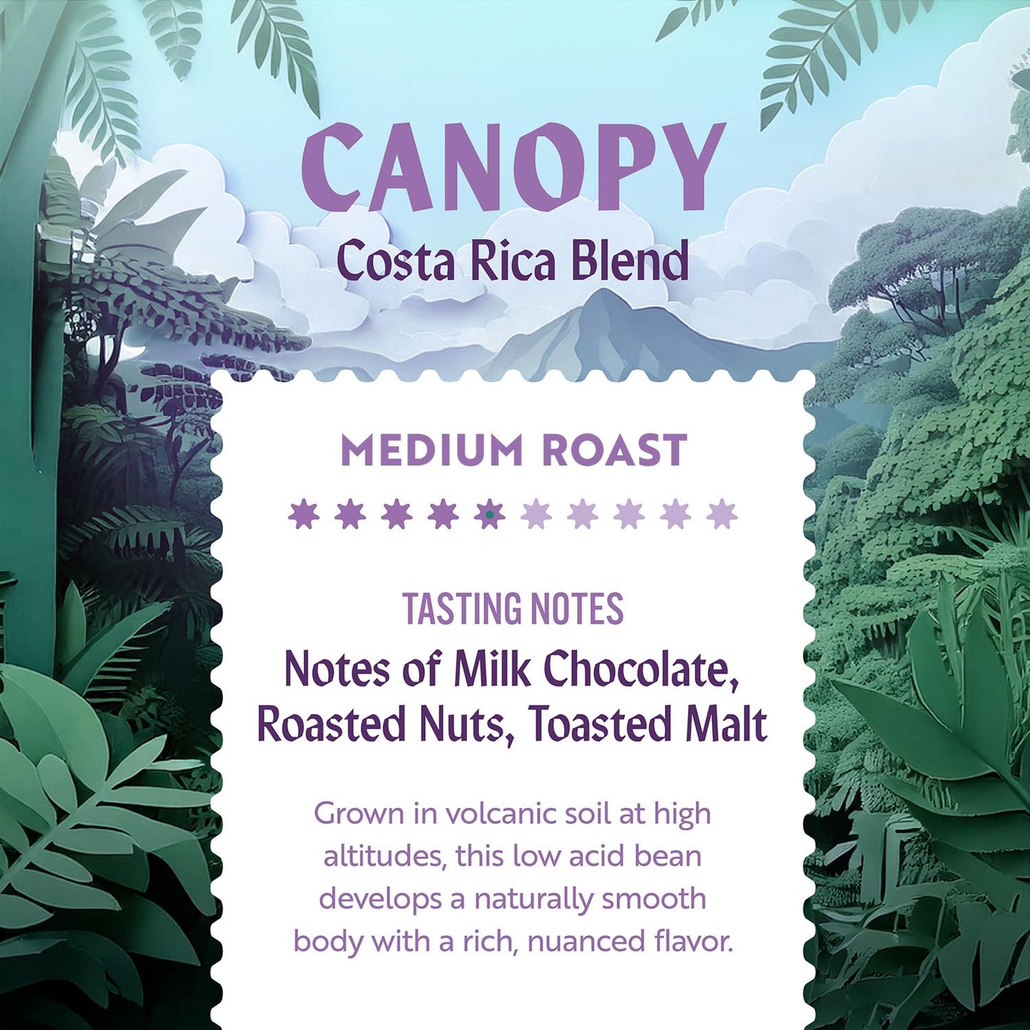 CLEAN COFFEE CO Low Acid Medium Roast Whole Bean Coffee, Costa Rica Blend, 12 oz Bag
