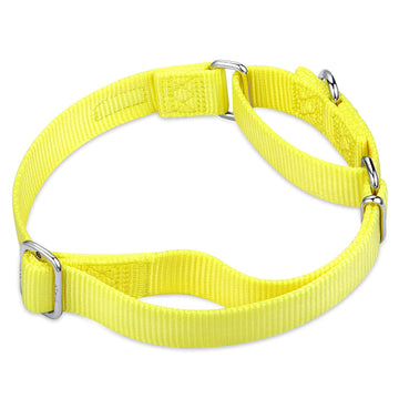 Hyhug Pets Premium Upgraded Heavy Duty Nylon Anti-Escape Martingale Collar For Boy And Girl Dogs Comfy And Safe - Professional T
