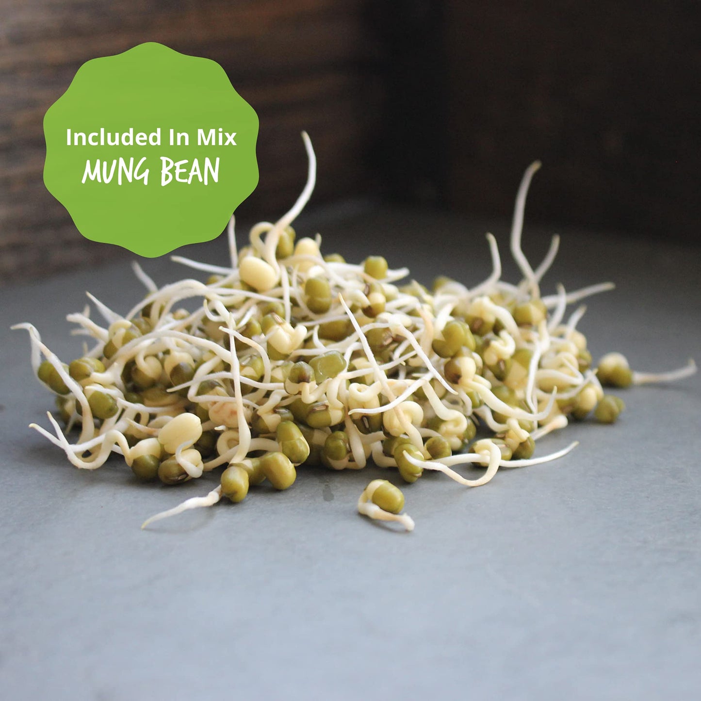 Organic Sprouting Seeds - Handy Pantry Sweet Protein Mix 1 Lb. - Fava Bean, Mung Bean, & Yellow Pea Seeds - High Protein Food Fo