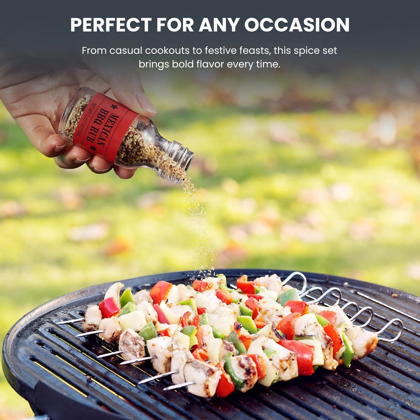 Kiri & Sons BBQ Gourmet Grilling Spice Set - 20 Flavors in Glass Bottles, Perfect Father's Day Gift, 30 Ounce Seasonings