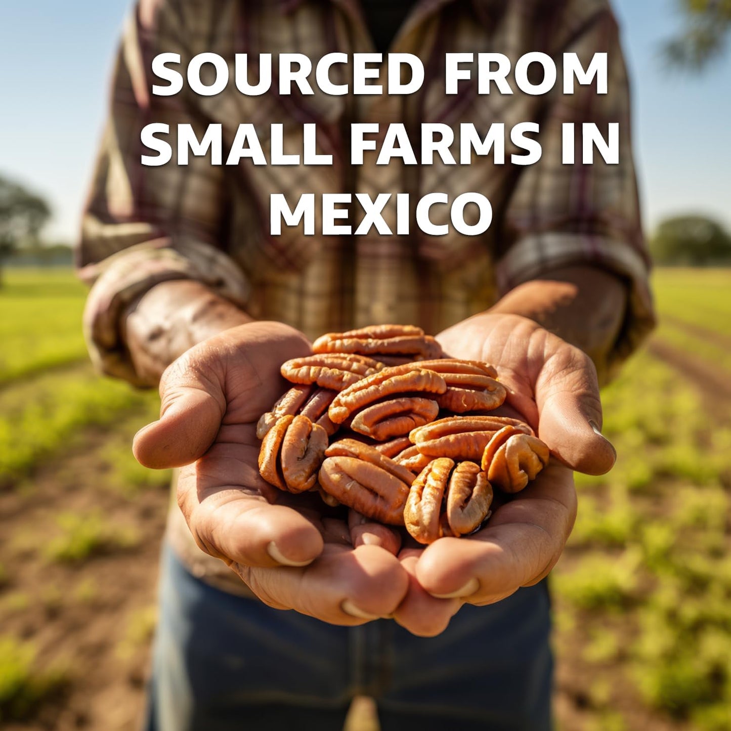 Goodsam Organic Raw Pecan Halves 2 Pack, 8 Oz Each, Gluten-Free, Sourced From Mexico, Regenerative Farming, Ideal For Vegan And