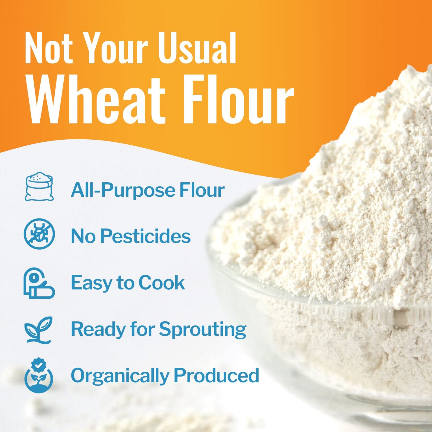 Grand Teton Einkorn Flour - 100% Organic All-Purpose, Non-GMO, 40 lbs (Pack of 2)