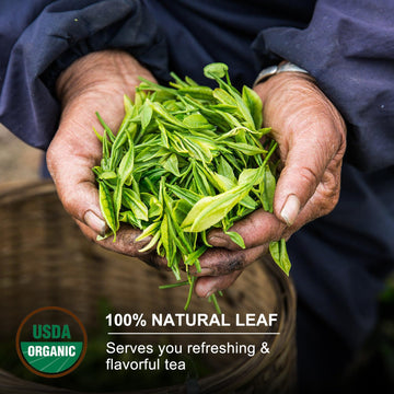 Khs Premium Organic White Tea, 3.53 Oz Usda Certified Grade A White Tea, Aged White Leaves With Fresh And Sweet Flavor, White Te