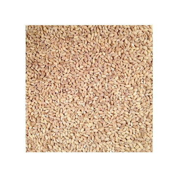 Grain Place Foods | Non-Gmo Organic Hulled Barley | Made In The Usa | 2 Lb Bag | 2 Pack