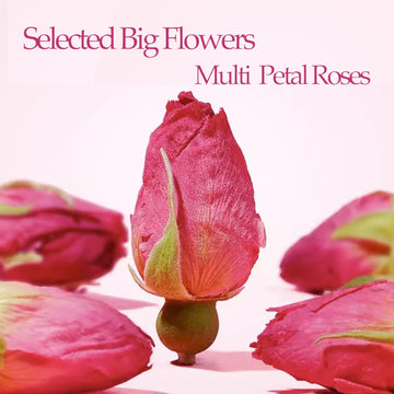 Rose Bud Tea Dried Red Rose,Mqupin Rose Tea 100% Natural Pure Flower Edible Buds Tea Culinary Food Grade Red Rosebud For Drinking Diy Gift (250G/3Packs)