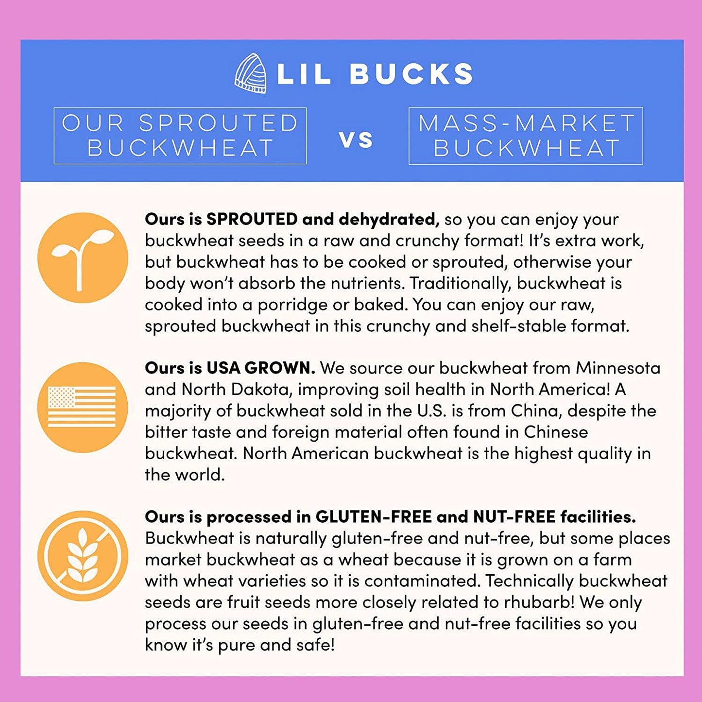 Lil Bucks Clusterbucks Gut Friendly Clusters Made With Regenerative Organic Sprouted Buckwheat, Gluten Free Snack (Snickerdoodle