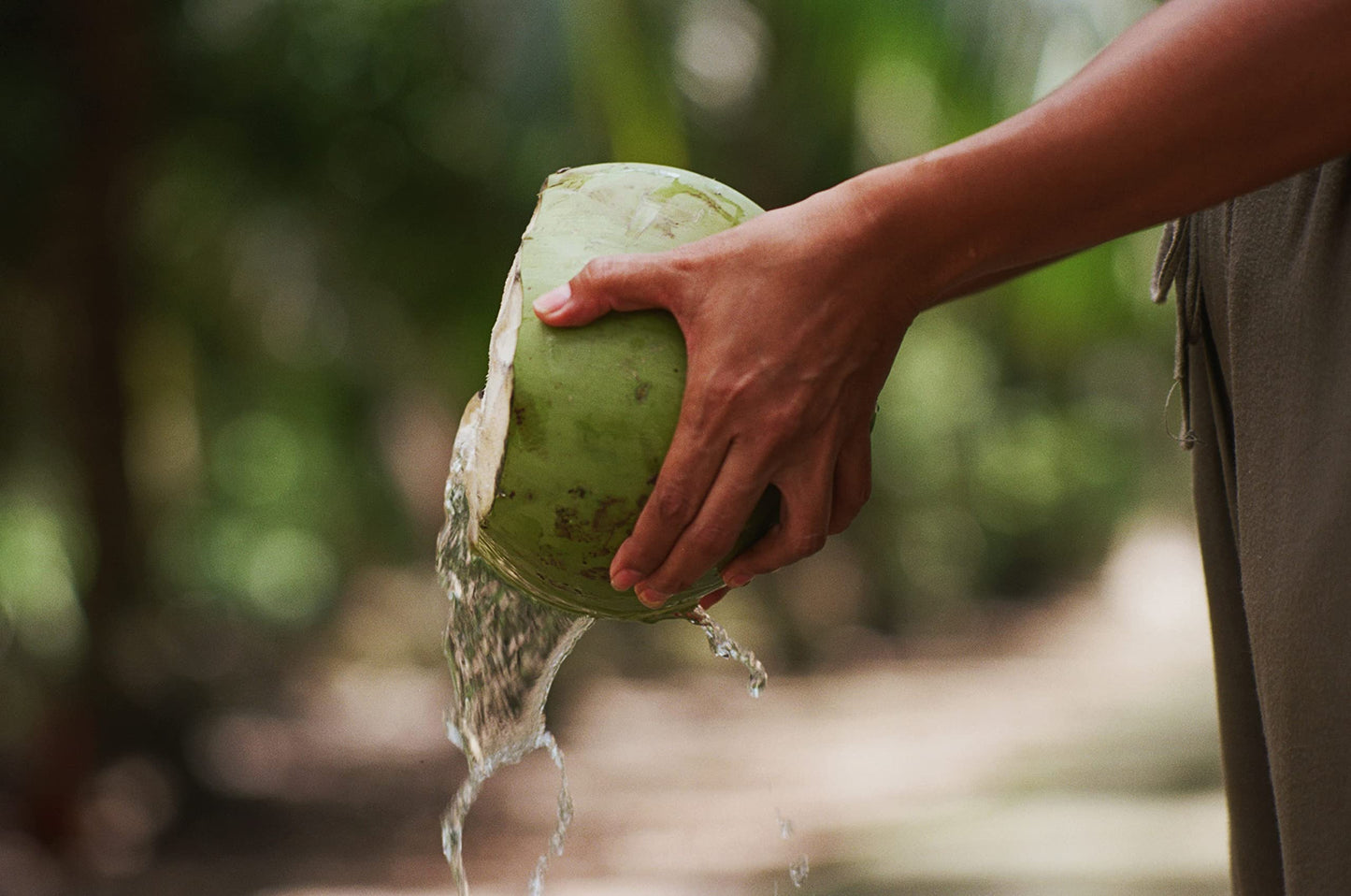 Real Coco Original Coconut Water 500mL, 100% USDA Organic Coconut Water, Packed with Electrolytes, Dairy/Soy Free, Vegan, Plant