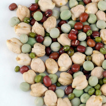 Handy Pantry Protein Powerhouse Sprouting Seed Mix: 5 Lb - Organic, Non-Gmo - Sprouting Sprouts, Food Storage. High Protien Sprouts - Pea, Mung, Green Pea, Adzuki