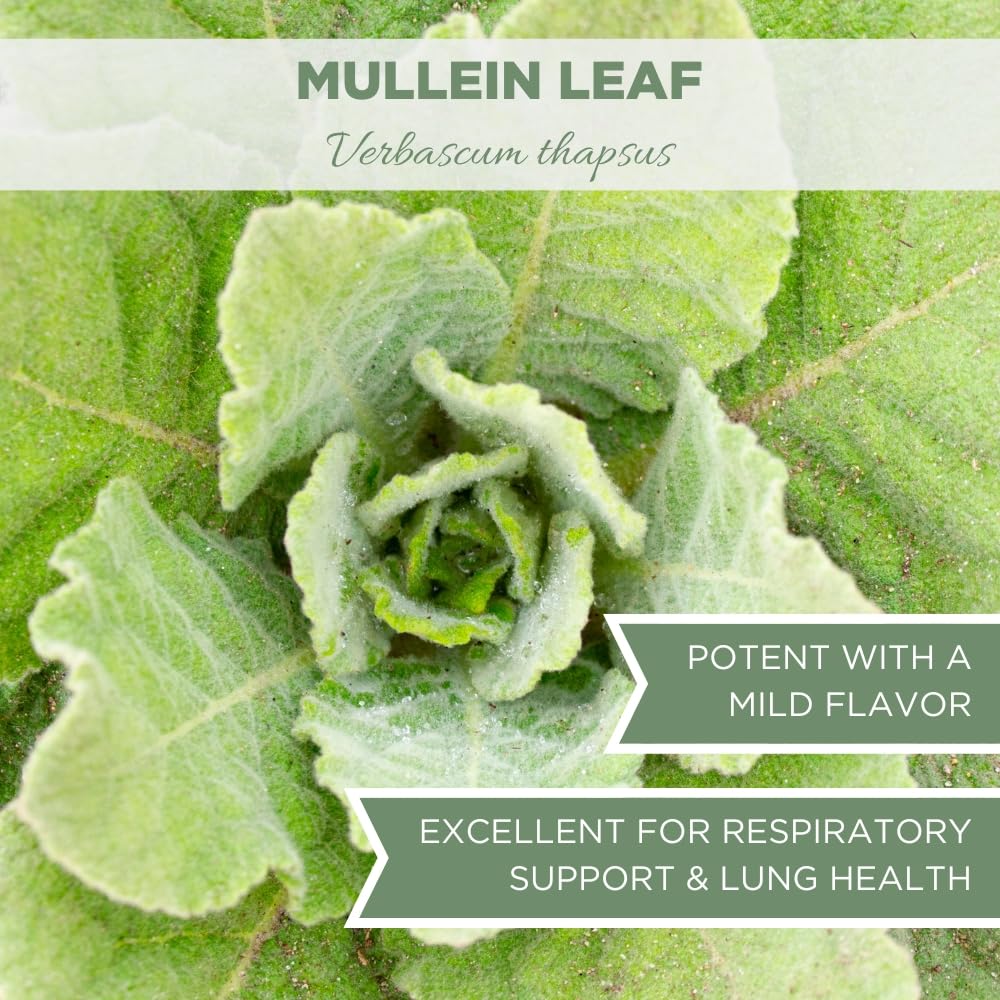 ELANEN naturals Organic Mullein Leaf Tea, Cut & Sifted, 2 oz (57g), USDA Certified Organic