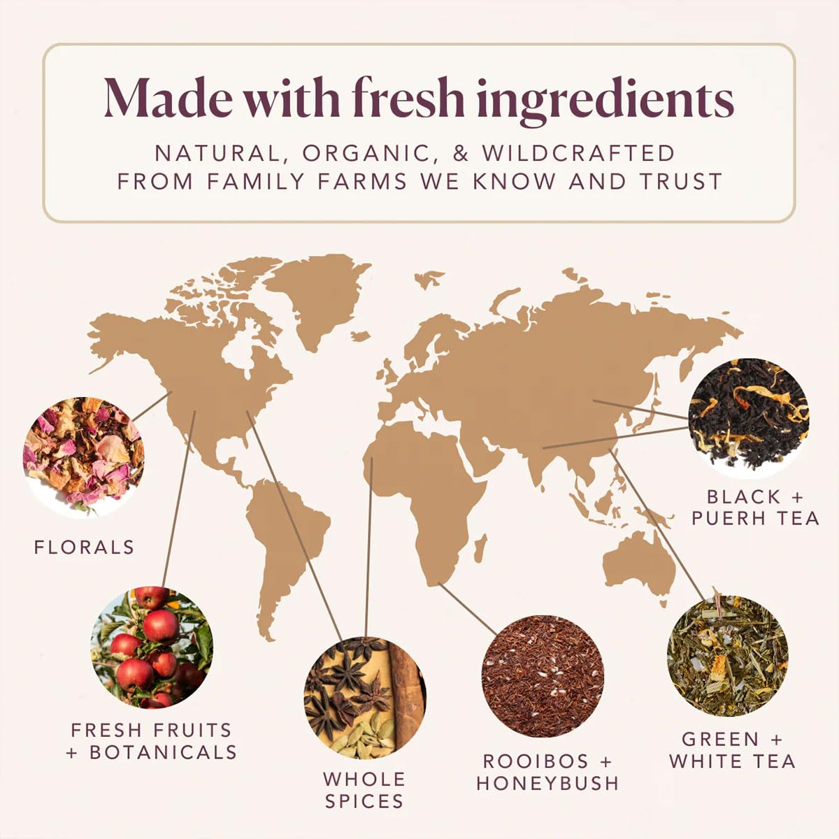 Plum Deluxe Citrus Mint Green Tea Loose Leaf Blend, 3 oz, Low Caffeine, Handcrafted in USA