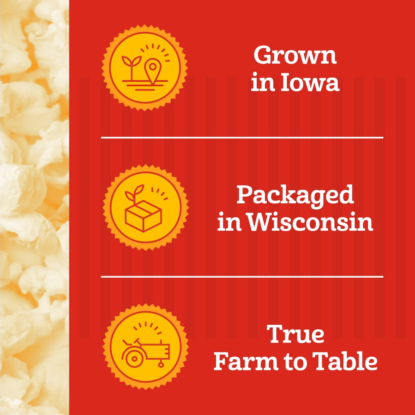 Franklins Gourmet Popcorn All-In-One Popcorn Packs for Popcorn Machine - 8oz Pack of 10 - Made in USA - Packs of Corn Kernels wi