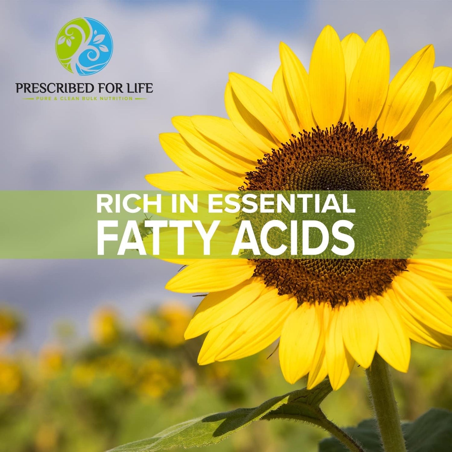 Prescribed For Life Sunflower Lecithin Powder, Vegan, Non-GMO, Gluten-Free, 4oz