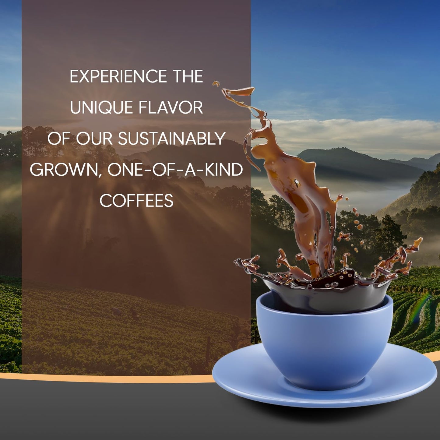 Caf  S Granell Kopi Luwak, Jamaica Blue Mountain & Panama Geisha Coffee 3 Pack Gift Set | Exotic Collection Fresh Whole Beans Qu