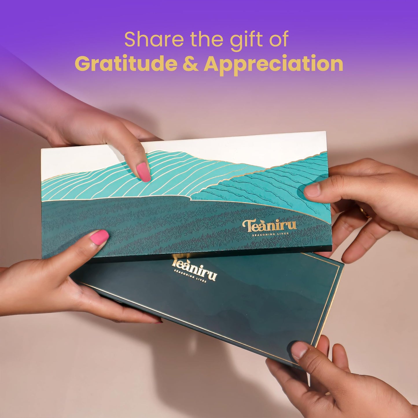 Teaniru, Gourmet Tea Collection - 6 Flavored Loose Leaf Set | 100% Pure Leaf With Real Ingredients | Gluten Free Tea - Brew It H