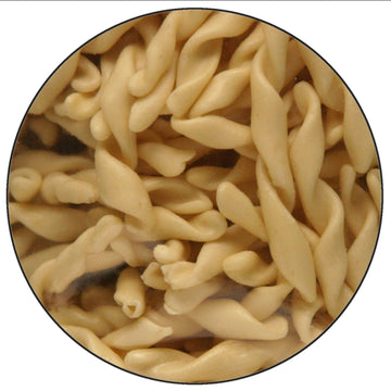 Maestri Pastai, Gourmet Fusilli Avellinesi Italian Pasta (Southern Italy Fusilli Pasta) (Pack Of 3), Special ''Series 42'', Prem