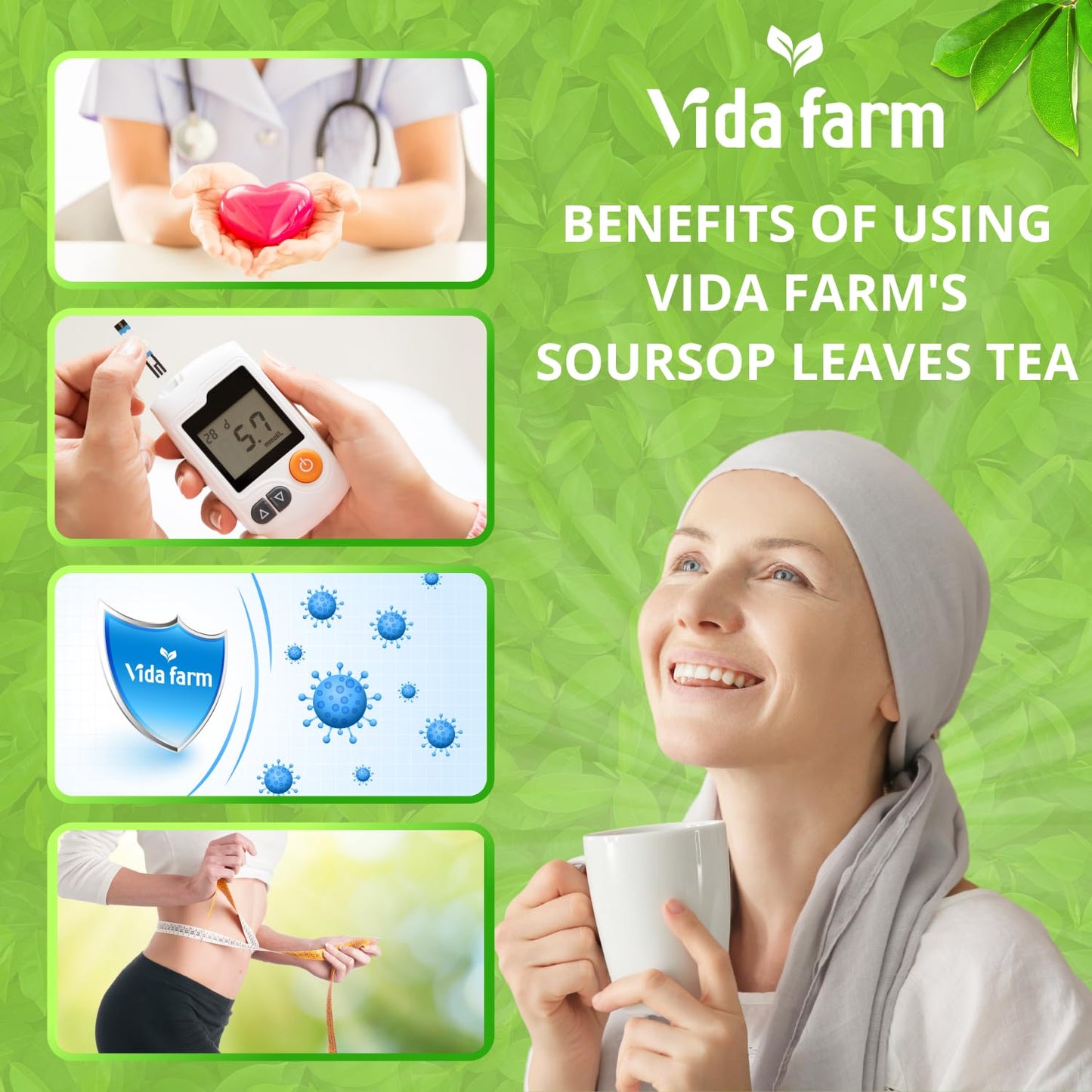 VIDA FARM Soursop Tea Bags, 100% Natural Guanabana Leaves, Caffeine Free, 115 Bags, Dark Yellow