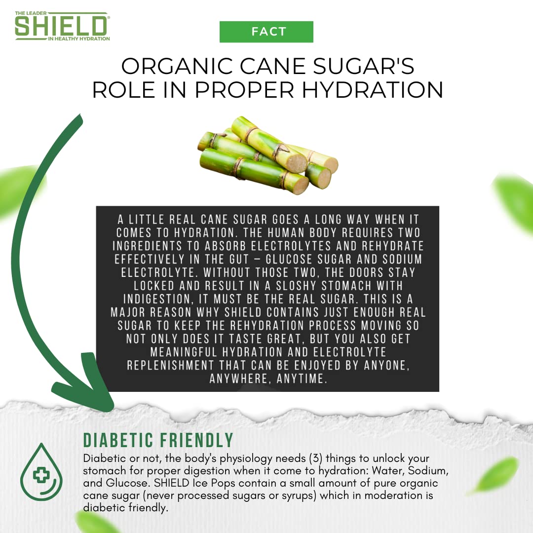 Shield Electrolyte Healthy Freezer Pops 36Pk Assorted Bars, 40 Cal, Electrolytes, Scientifically Balanced, Great Tasting Cooling