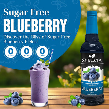 Syruvia Sugar-Free Blueberry Syrup - 25.4 Fl Oz Premium Coffee Flavoring Syrup. 0 Calories, Kosher, And Gluten-Free. Perfect For