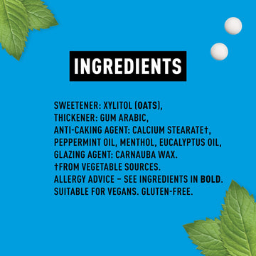 Peppersmith 100% Xylitol Mints, Eucalyptus and Fine English Peppermint, 15 g (Box of 12, Total 300 Mints)