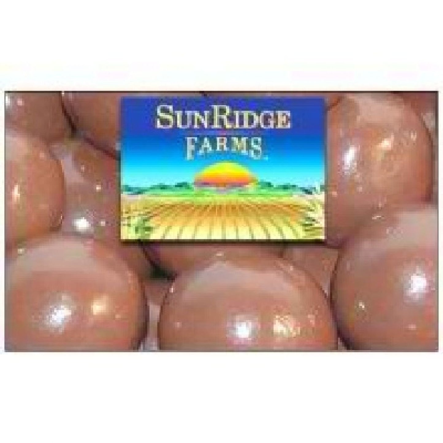 Sunridge Farms Candy, Carob Malt Balls, 10 Pound