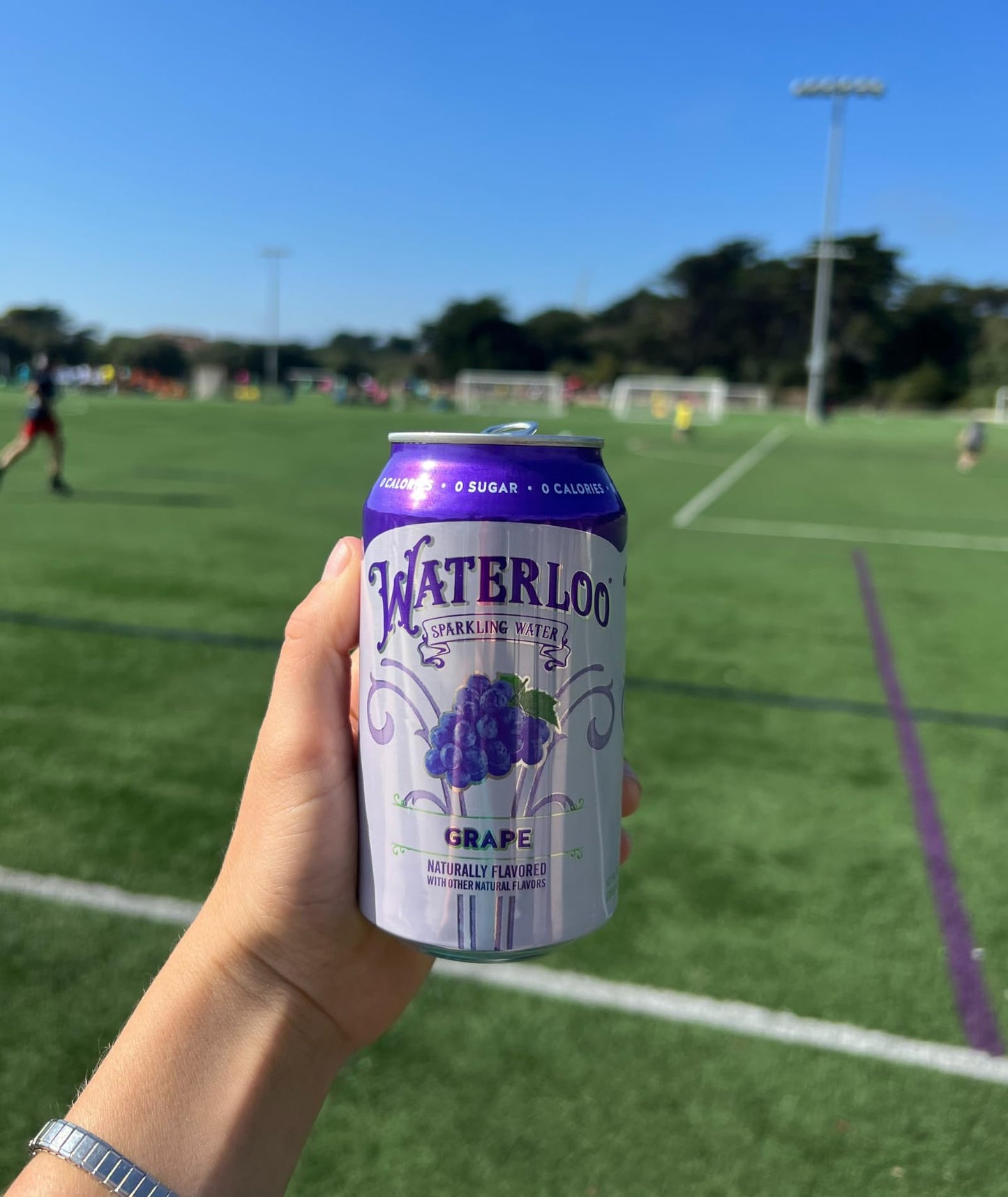 Waterloo Sparkling Water, Grape Naturally Flavored, 12 Fl Oz Cans (Pack Of 12) - Zero Calories And Zero Sugar Or Sweeteners Of A