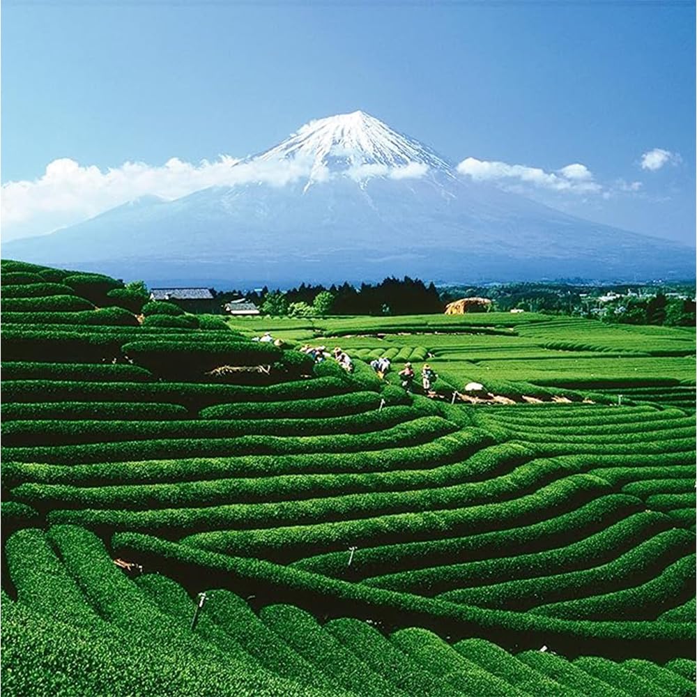 Palais Des Th S - Spring Tea (Th Des Sources) - Premium Green Tea With Mint & Bergamot - 20 Count Biodegradable Gourmet Tea B