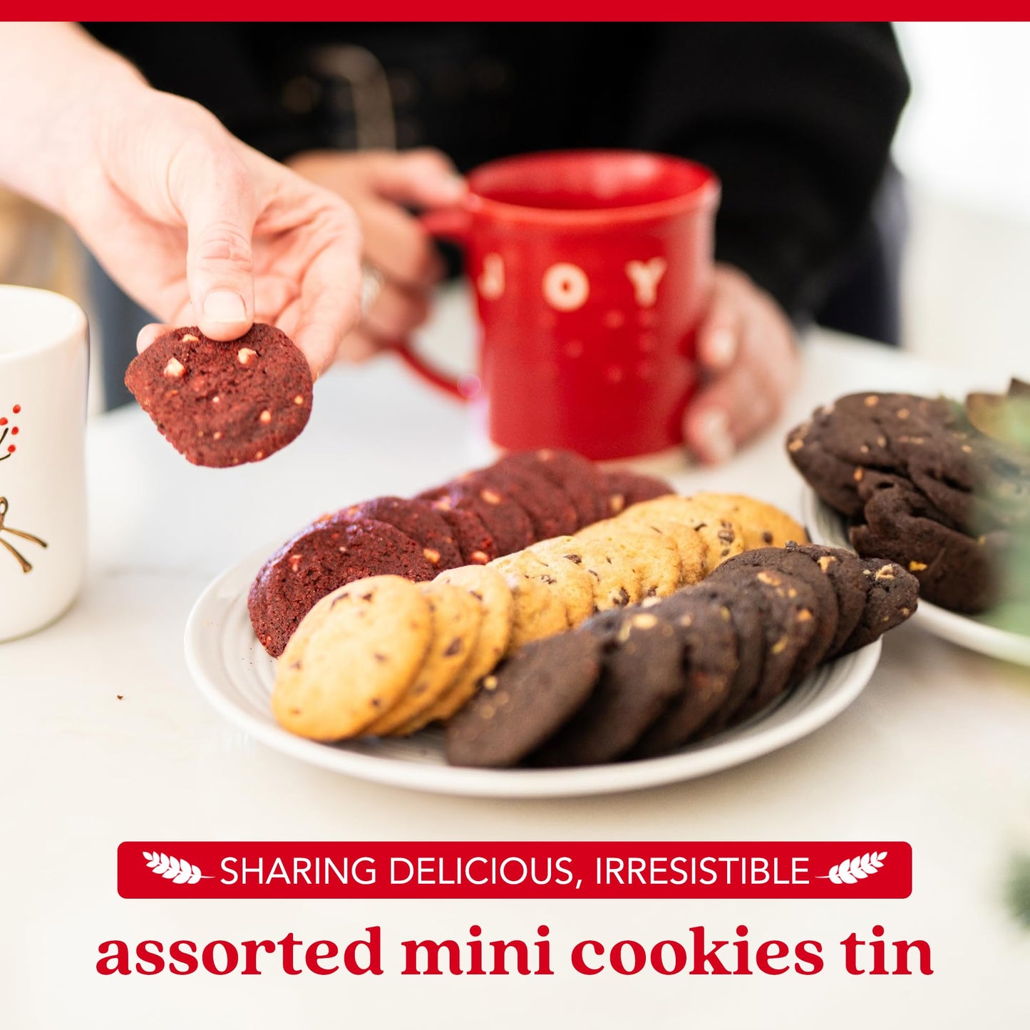 Davids Cookies Fresh-Baked Sweet Sampler Mini Bites Tin - 14oz Assorted Mini Cookies with Chocolate Chip, Chocolate & White Cho